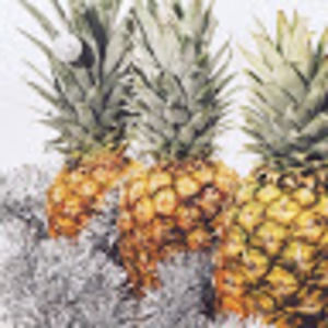 Meet your Posher, Peachy